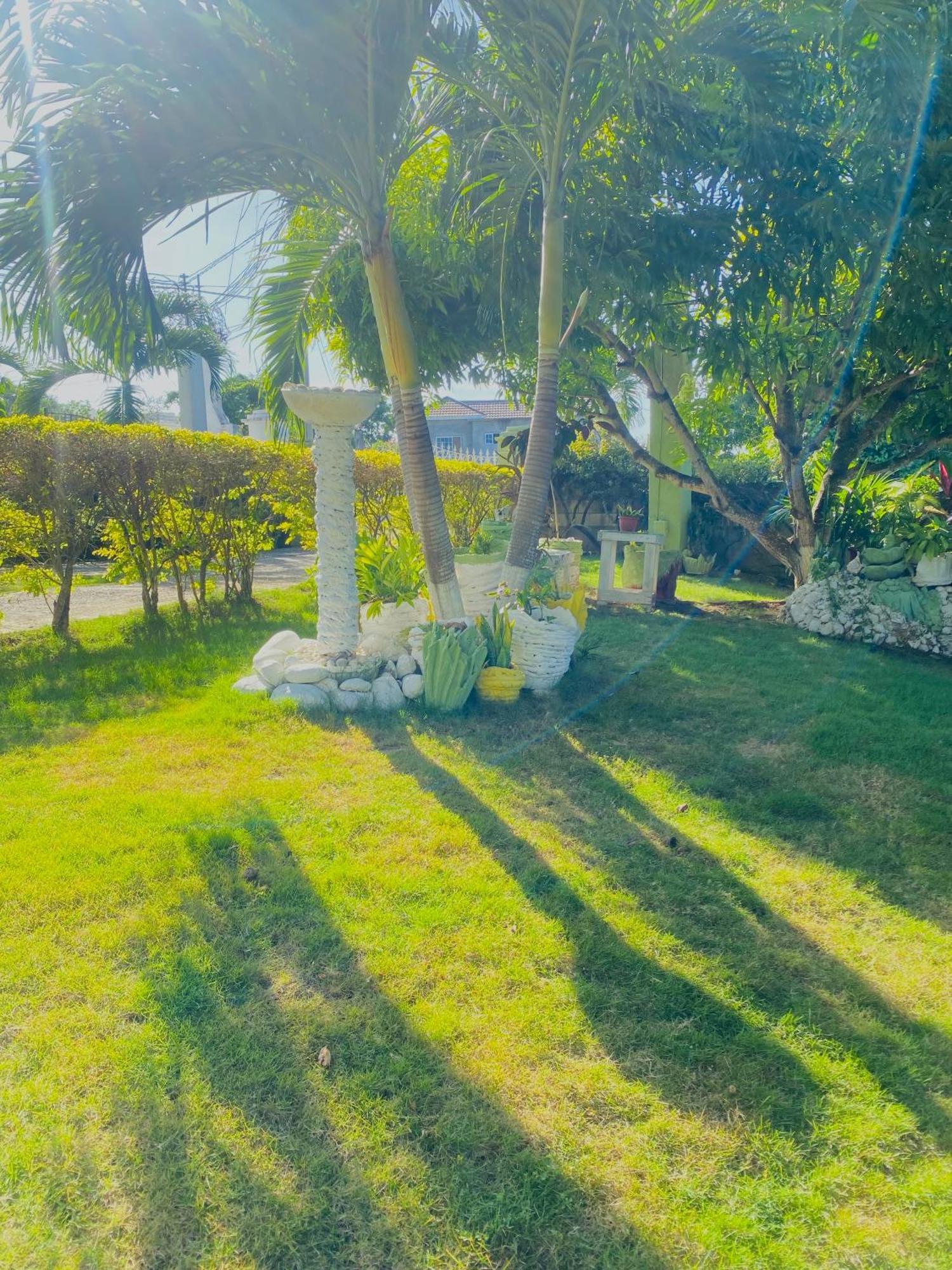Cindy'S Garden Stay Ocho Rios Exterior photo